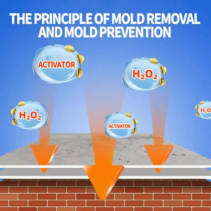 Moldura™ – Reinigende Spray voor Schimmel- & Vochtplekken