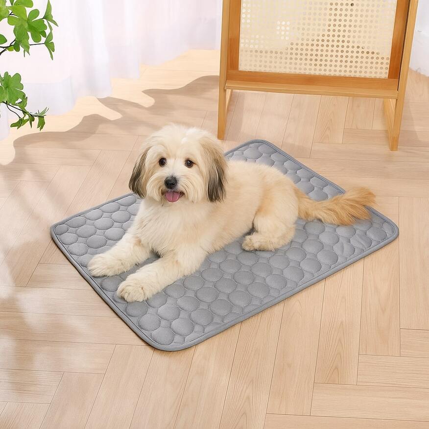 PawChill™ | Verkoelende Mat Voor Huisdieren – Voor Een Zorgeloze Zomer