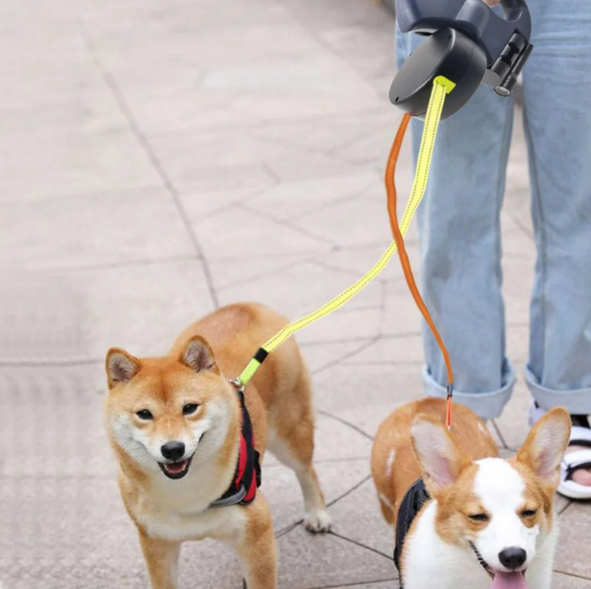 PawSync™ | 2-in-1 Anti-Knoop Hondenriem