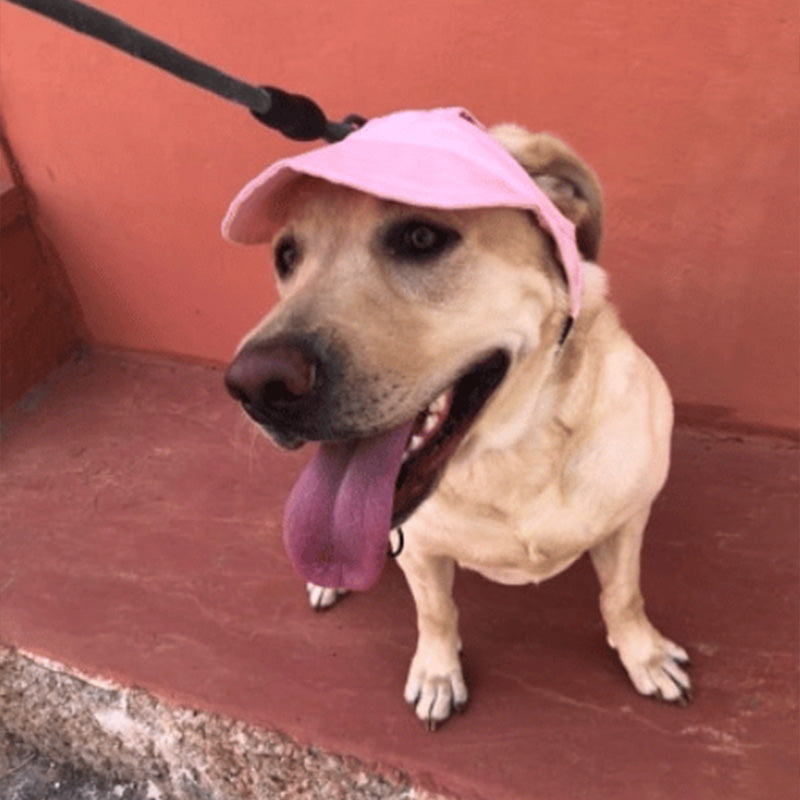 PawChic™ – Zonnehoed voor Honden