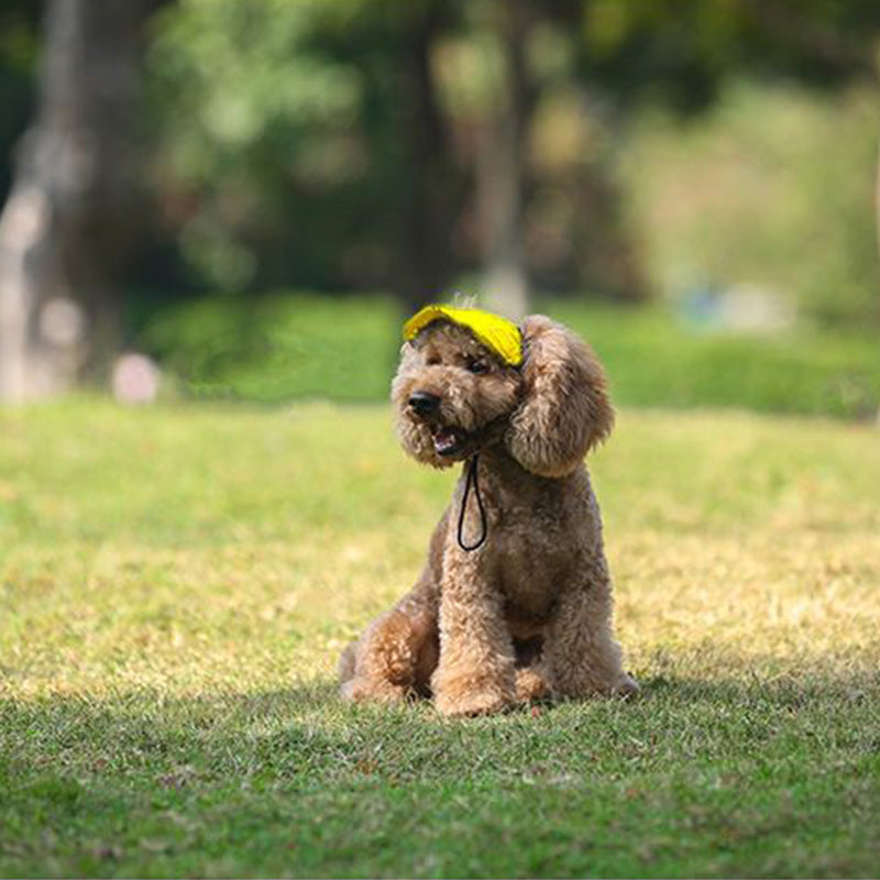 PawChic™ – Zonnehoed voor Honden