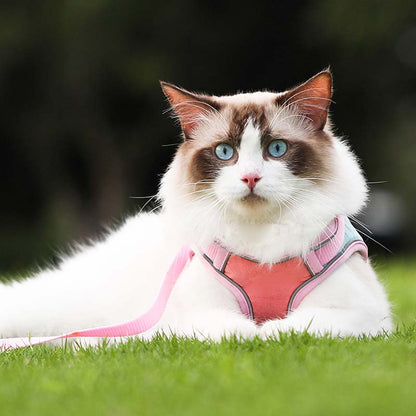 PawSure™ – Reflecterend Kattenharnas voor Veilig & Comfortabel Wandelen